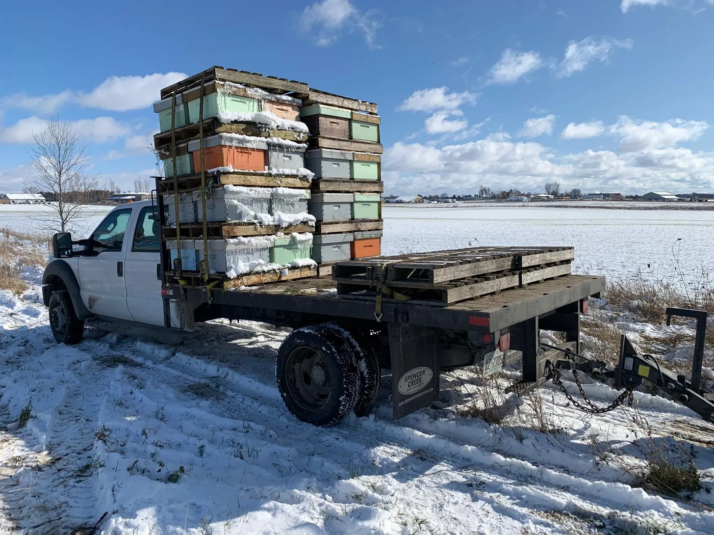 Canadian Dream Honey apiary in Erin, Ontario — photo 12