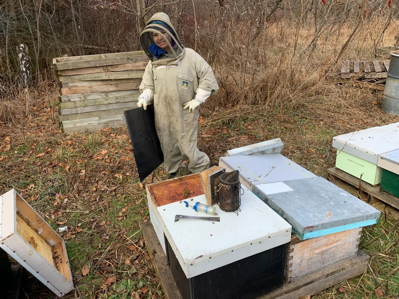 Beekeeper lifting a honey frame from the hive