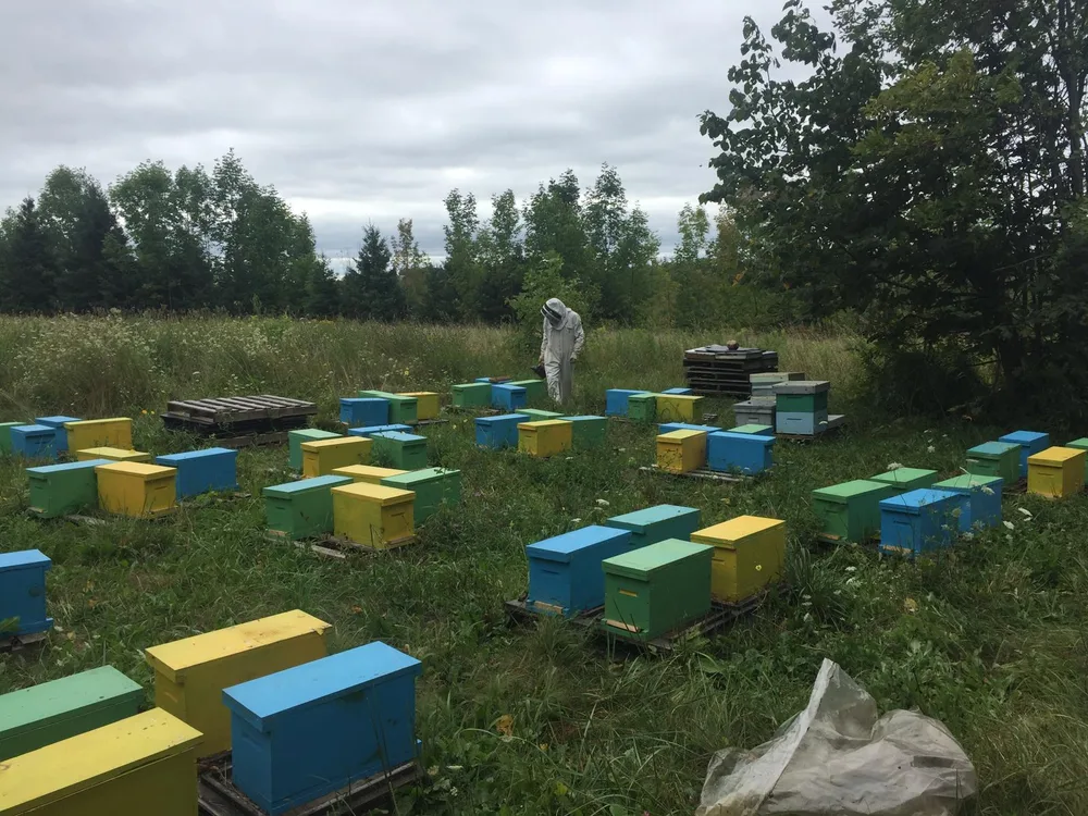 Loading hives for pollination season