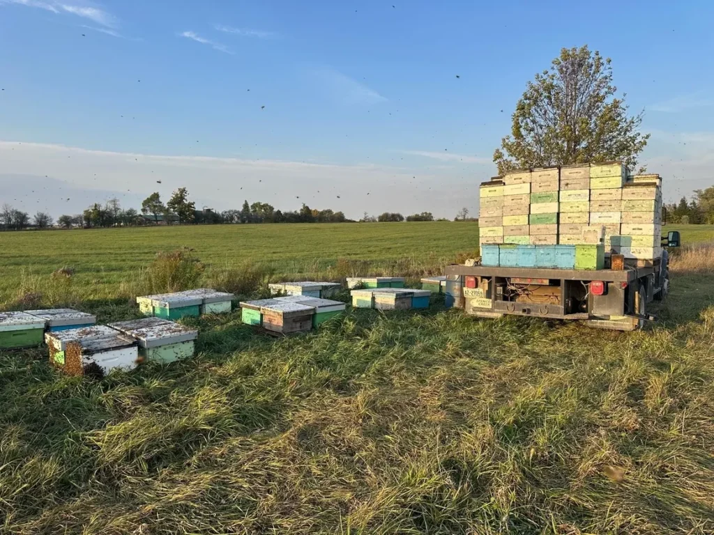 supporting local beekeepers