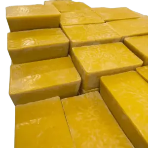 photo 5134563824357805254 y