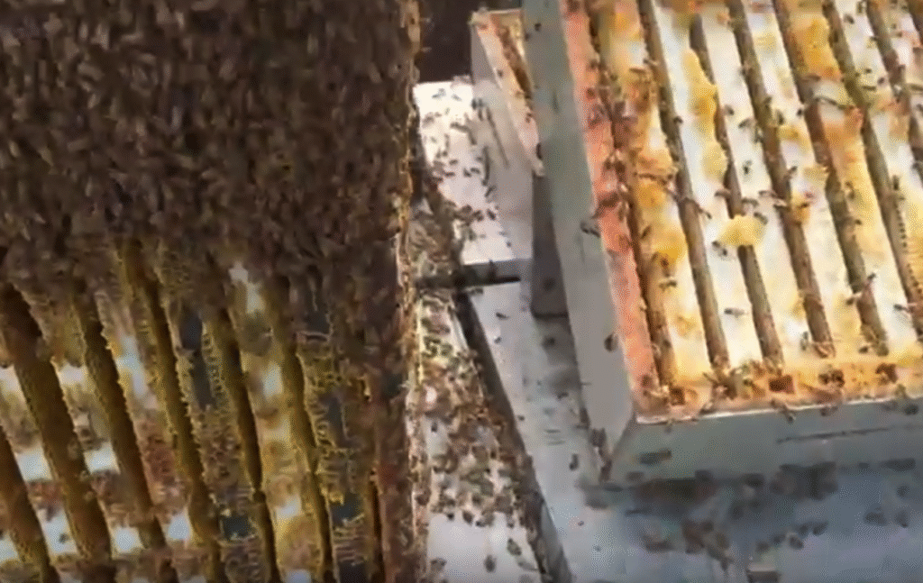 Screenshot at Nov 15 01 40 17