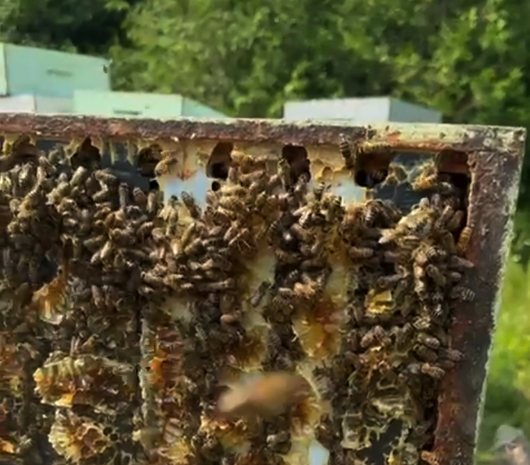 Screenshot at Nov 15 01 42 09