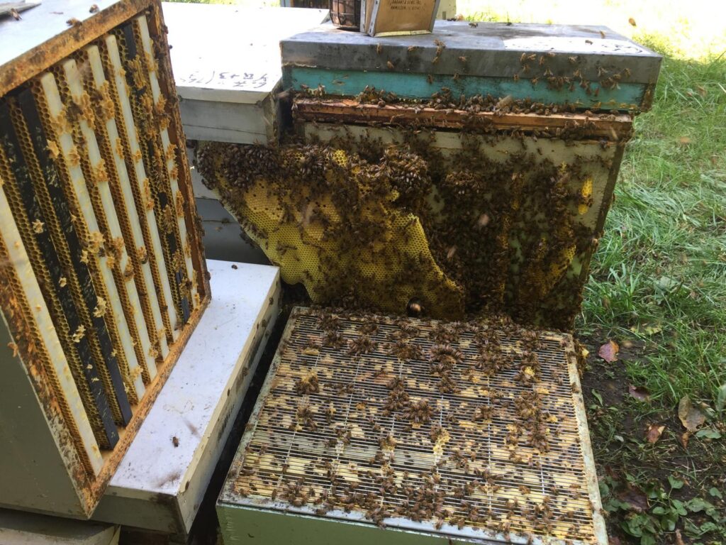 WhatsApp Image 2026 02 04 at 10.22.14 AM (1)